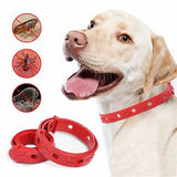 03 COLLARES ANTIPULGAS PARA PERROS O GATOS